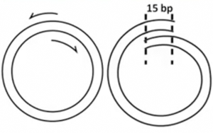 Old webinar illustration
